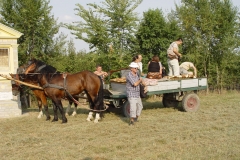 image019